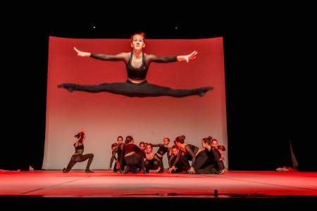 Območna revija plesnih skupin Finesa plesa 2023 (58)